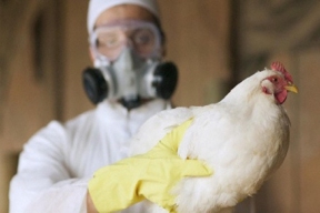 US scientists have created a drug against a new bird flu