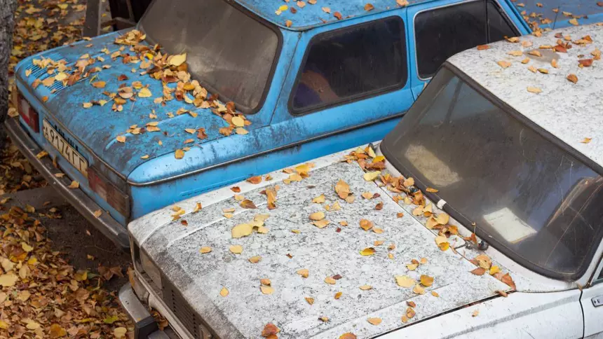 Muscovites were offered an original way to get rid of car junk