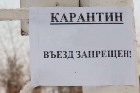 На севере Ростовской области сняли карантин по бешенству, введенный почти год назад