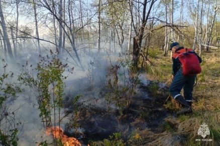 В Хабаровском крае с момента прихода тепла специалисты потушили более 1000 возгораний растительности