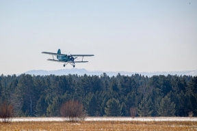 В Подмосковье разбился самолёт Ан-2