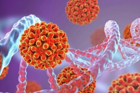 Ученые стали на шаг ближе к изобретению метода лечения гепатита В