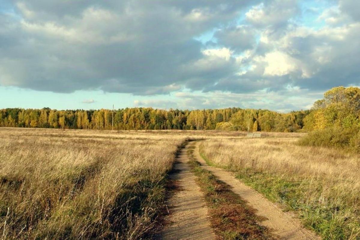 Власти Калужской области хотят существенно расширить площадь сельхоз земель