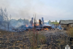 В правительстве Тамбовской области экстренно обсудили проблему лесных пожаров