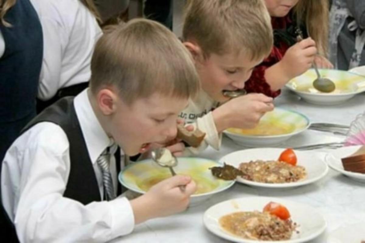 В 13 школ Екатеринбурга поставлялись продукты животного происхождения без необходимых документов
