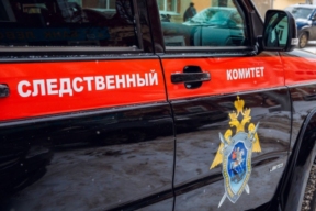 В Ростовской области от рук убийцы погибла 8-летняя девочка